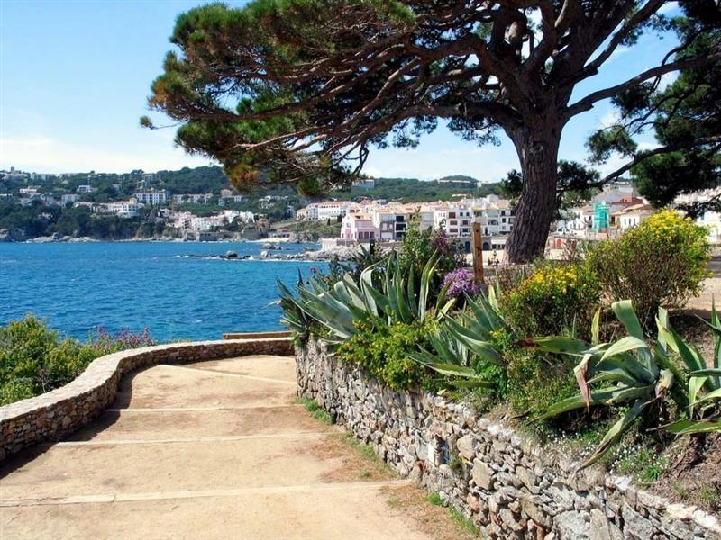 Checkin Victoria 3* фотосуреті