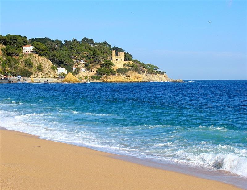 Checkin Victoria 3* суреті