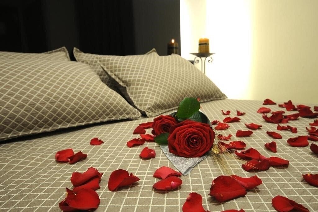 Отель Hotel Montmar 3*