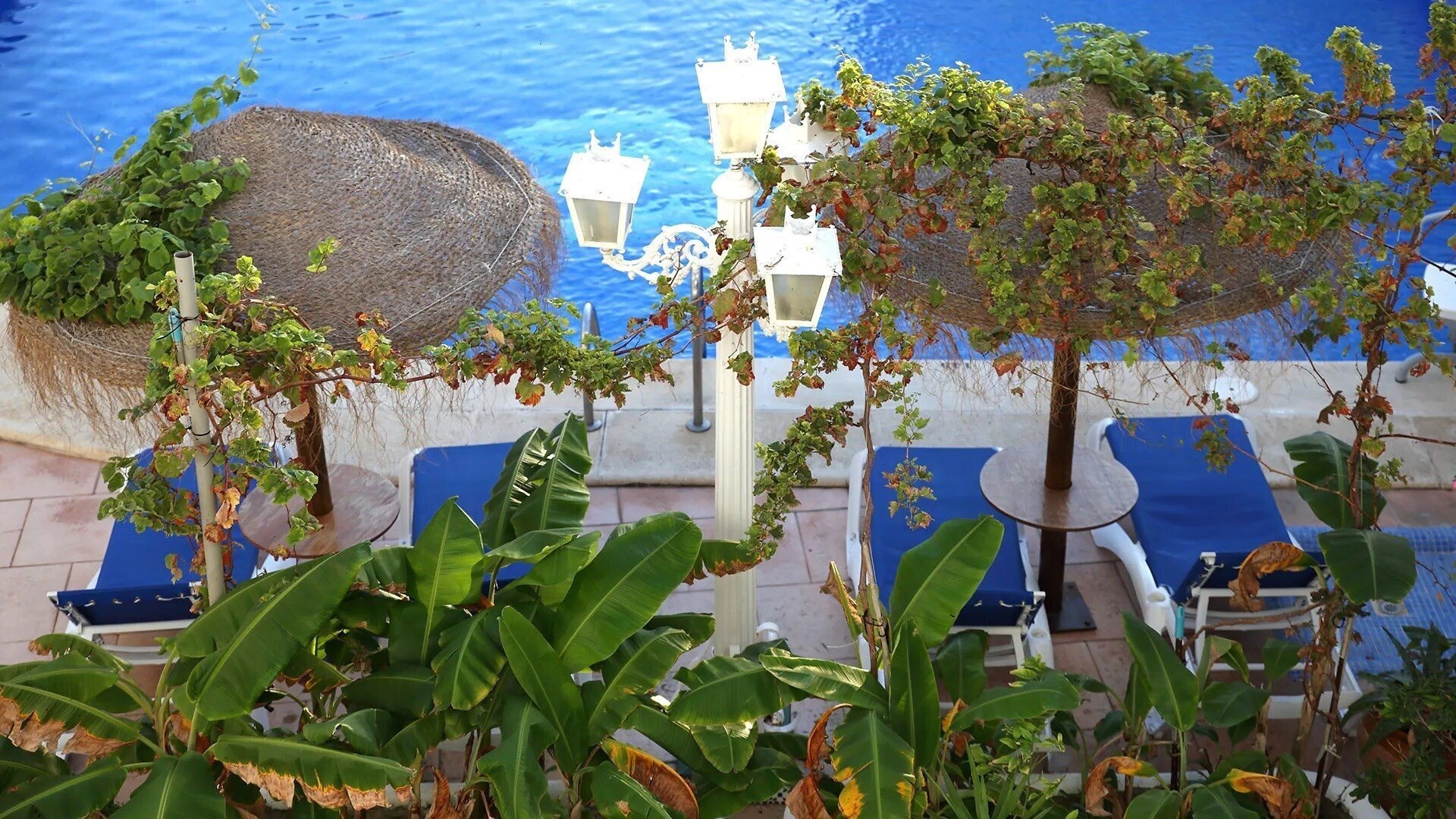 Фотография Brasilia 3*