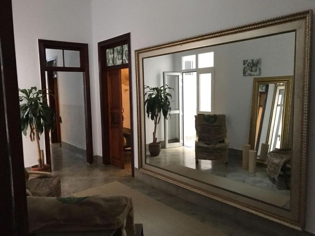 Cactus Host 2* фотосуреті