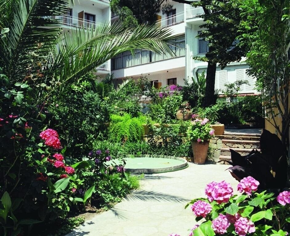 Clipper 2* суреті