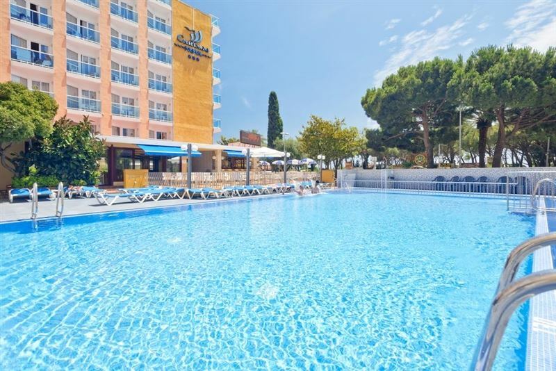 Cartaganova 3* суреті