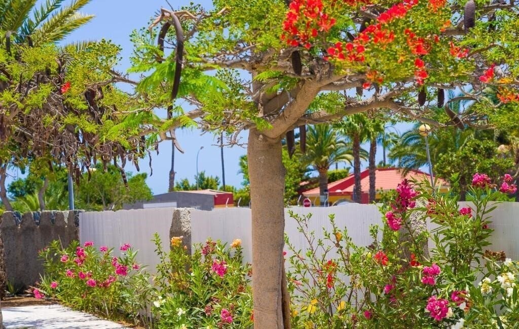 Bungalows Las Almenas 2* суреті