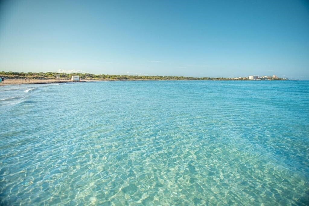 Blau Colonia Sant Jordi Club 4* суреті
