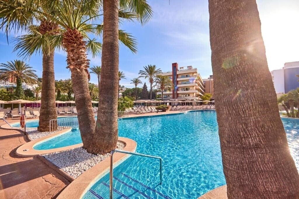 Rey Don Jaime 4* суреті