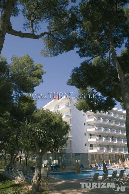 Riu Concordia 4* суреті