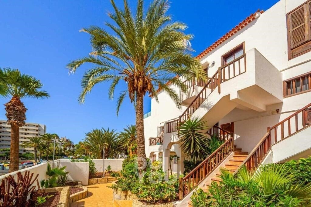 Paraiso Royal 3* суреті