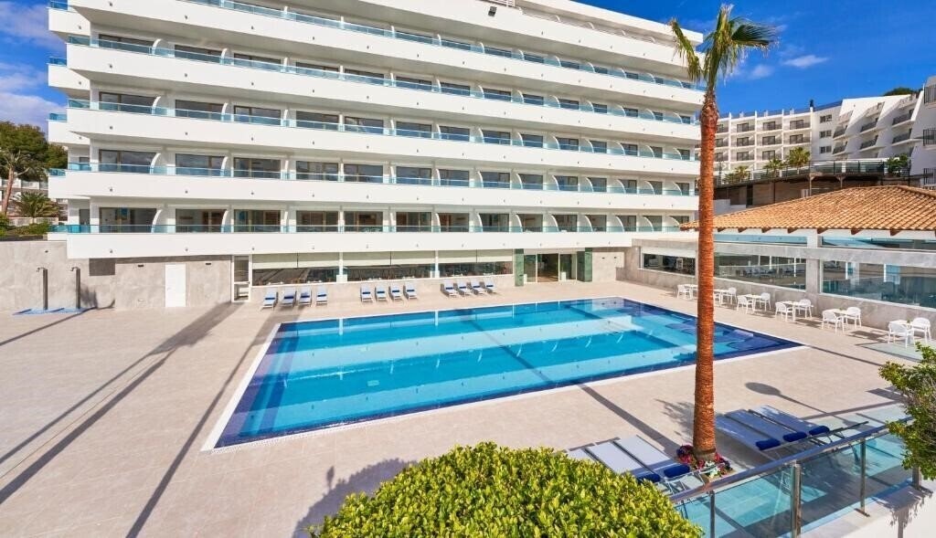 Trh Torrenova 3* суреті