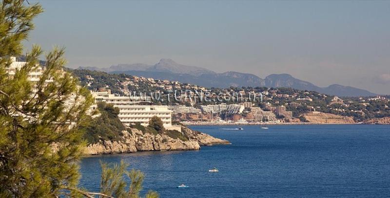 Trh Torrenova 3* фотосуреті