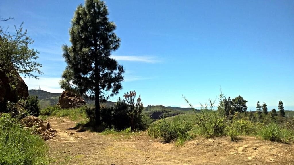 Фотография Casa Regina Tenerife 3*