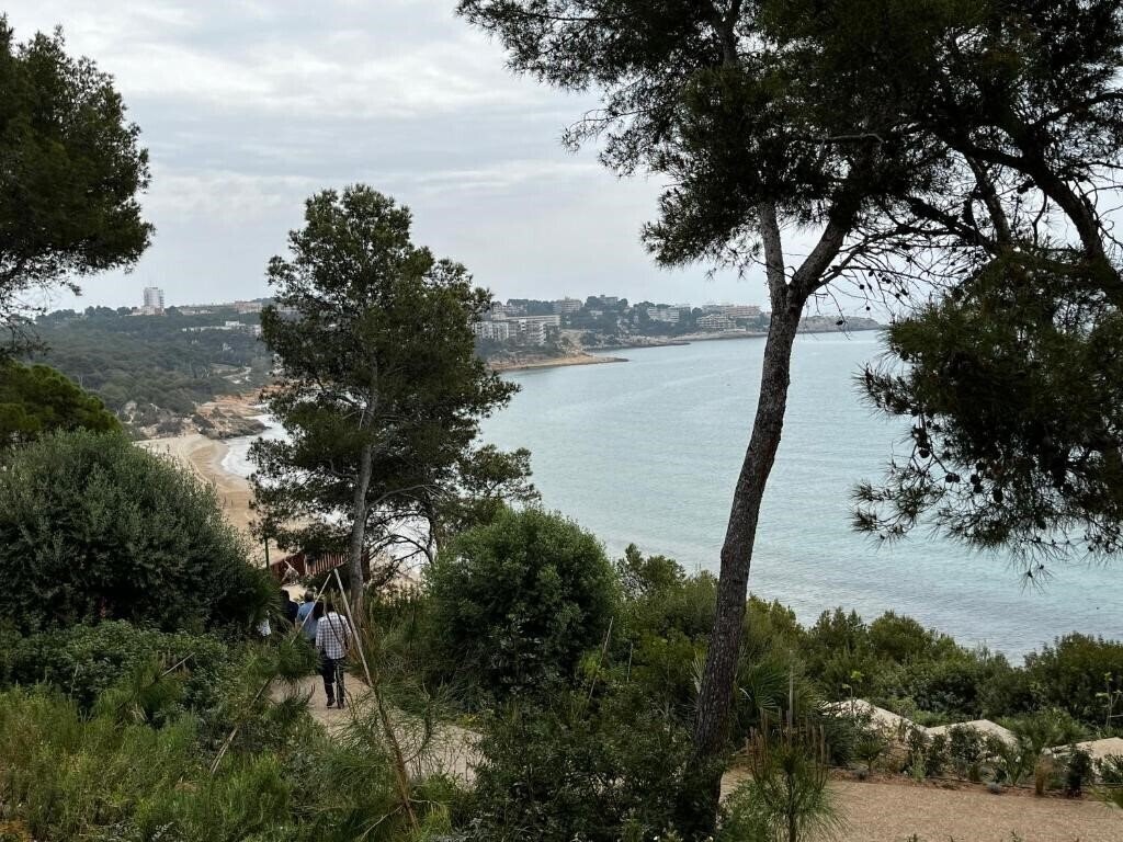 Cal Dorada Apart 3* суреті