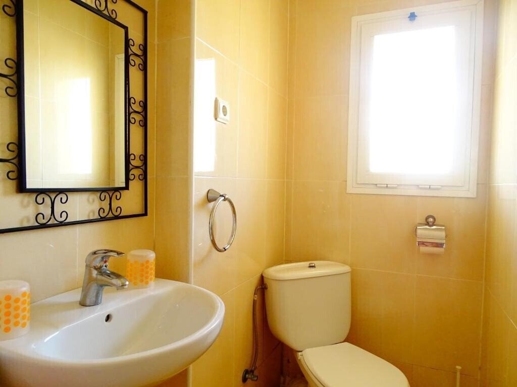 Картинка Rex Apart 3*