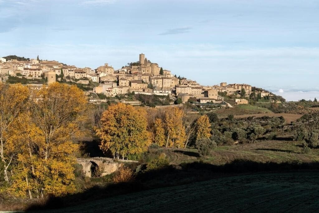 Отель Parador De Sos Del Rey Catolico 4*