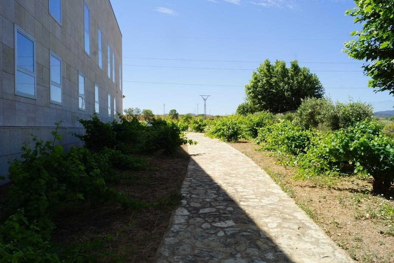 Фото Del Vino 3*