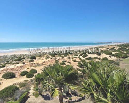 Отель Iberostar Royal Andalus 4*