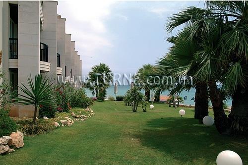 Estela Barcelona 4* суреті