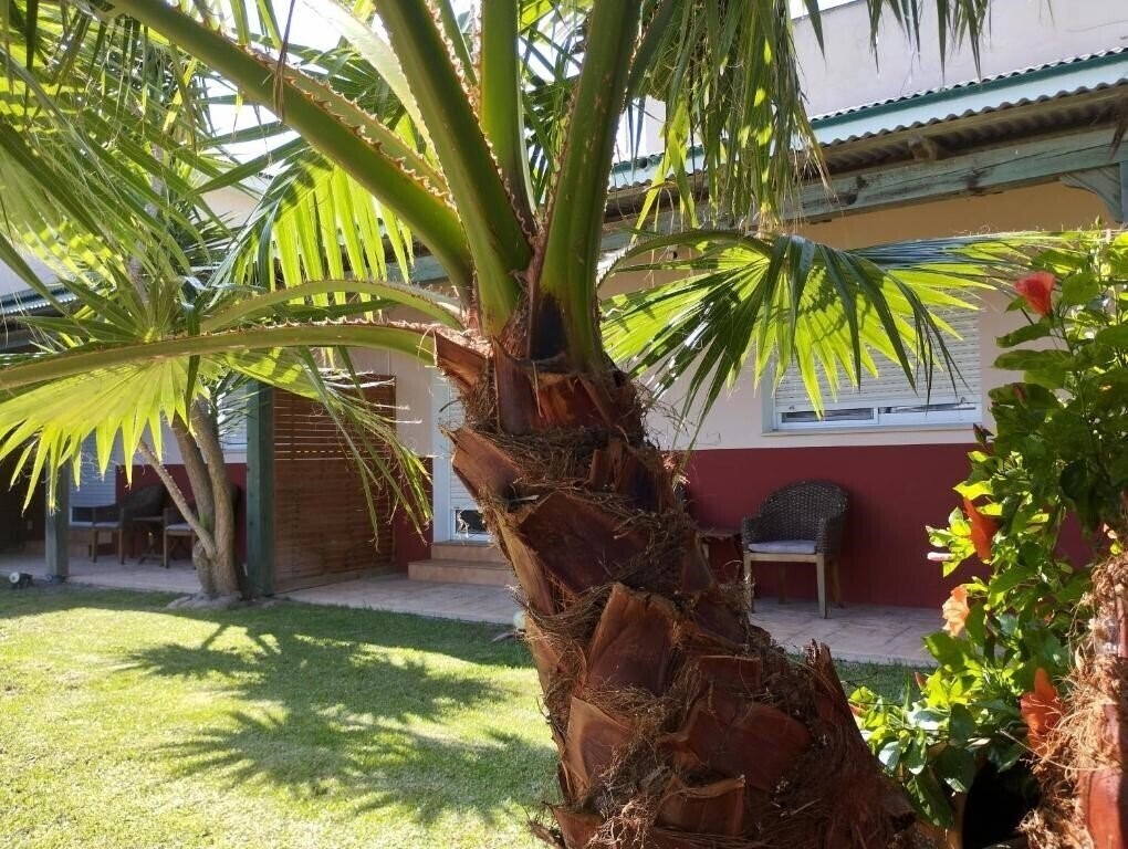 Casablanca El Petit Hotel 3* қонақ үйі