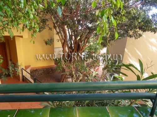 Изображение Oasis Mango 3*