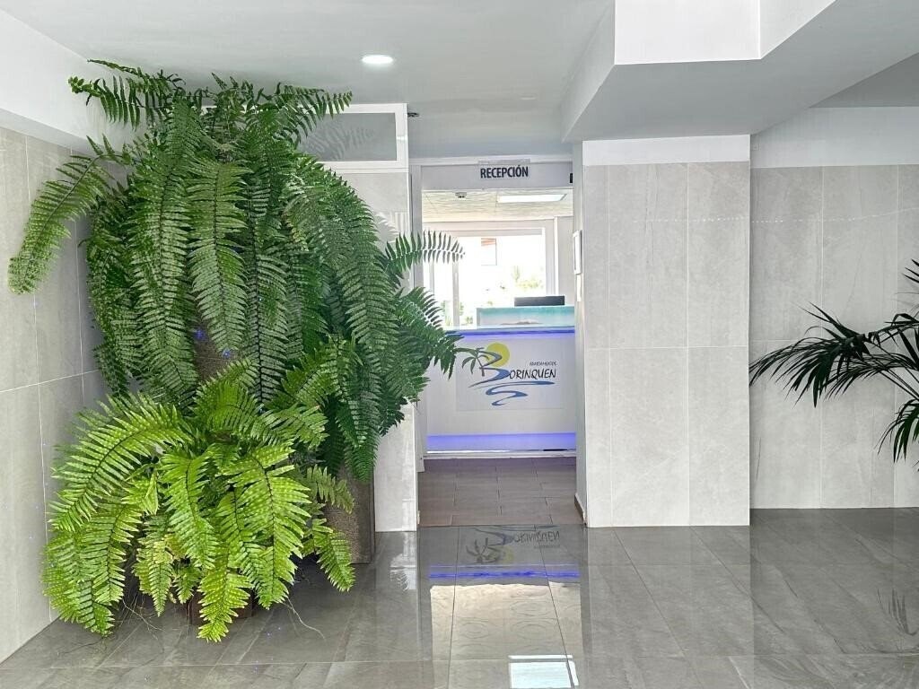 Borinquen 2* суреті