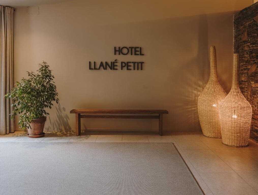Hotel Llane Petit 3* суреті