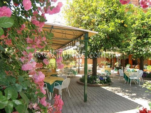 Картинка Girasole 3*