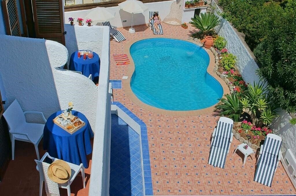 Iris 3* суреті