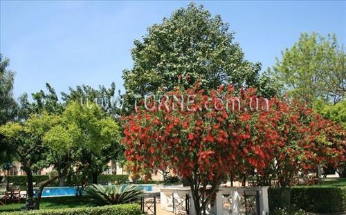 Villa Irlanda (ex. G.h. Villa Irlanda) 4* суреті