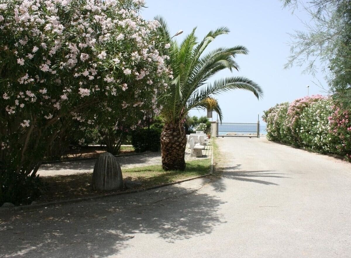 Baia Di Zambrone 3* суреті