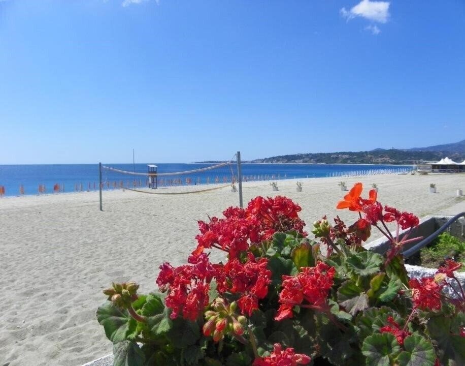 Фотография Estella Club 4*