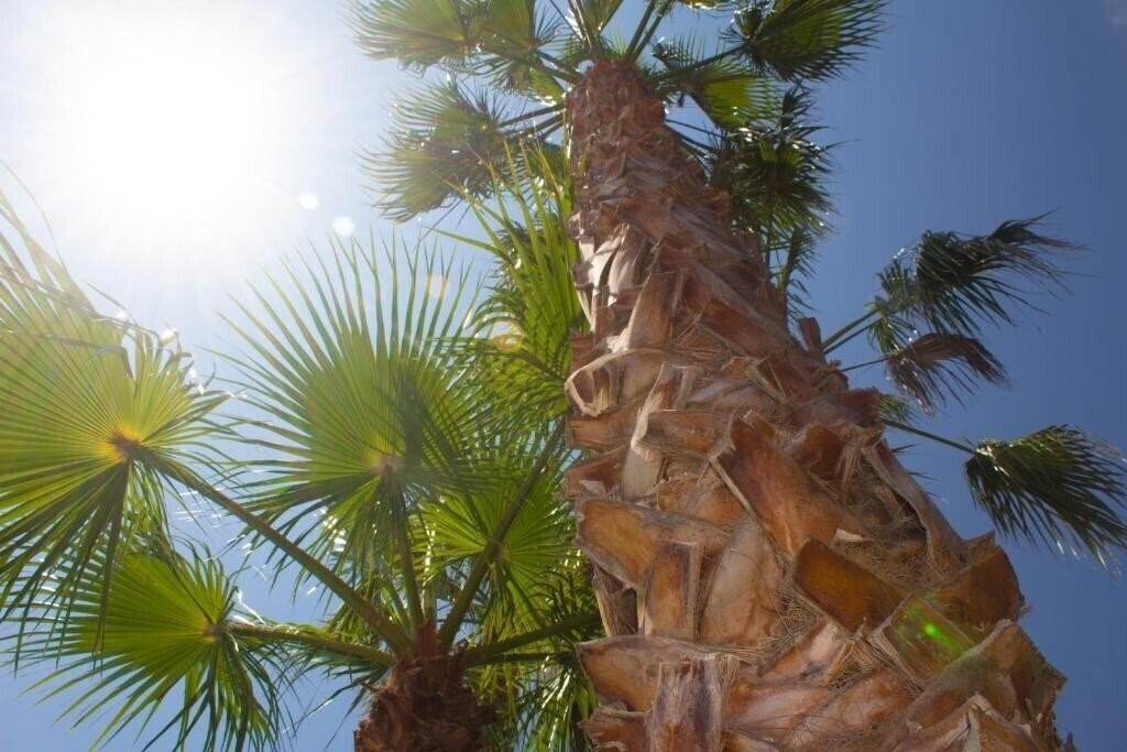 Картинка Grotticelle 3*