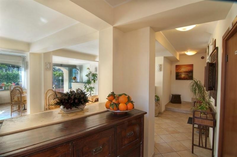 Sylesia 3* суреті