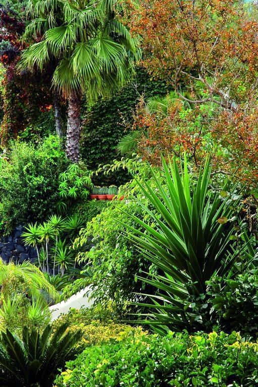 Hotel Delfini Terme & Beauty 4* қонақ үйі