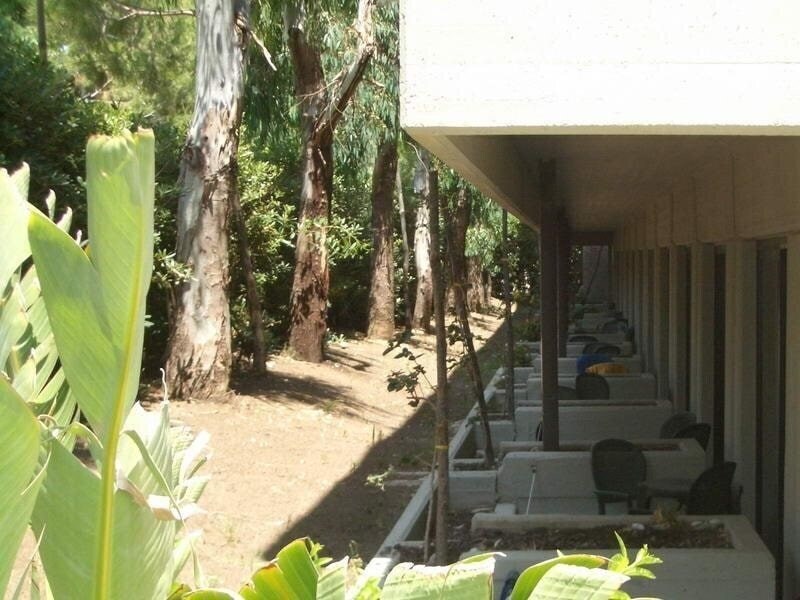 Fiesta Garden Beach 4* суреті