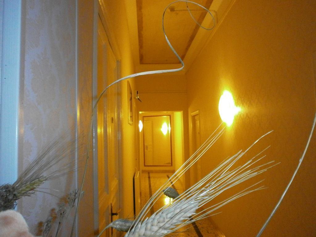 Hotel Texas 2* фотосуреті