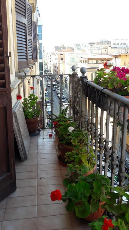 Картинка Aristotele 2*