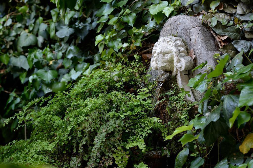 Giulio Cesare 4* суреті