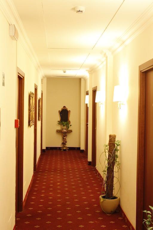 Картинка Edera 3*