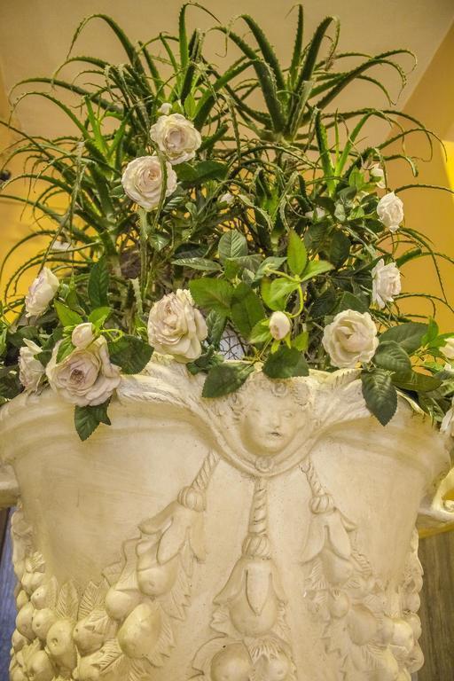 Изображение Giorgi 3*