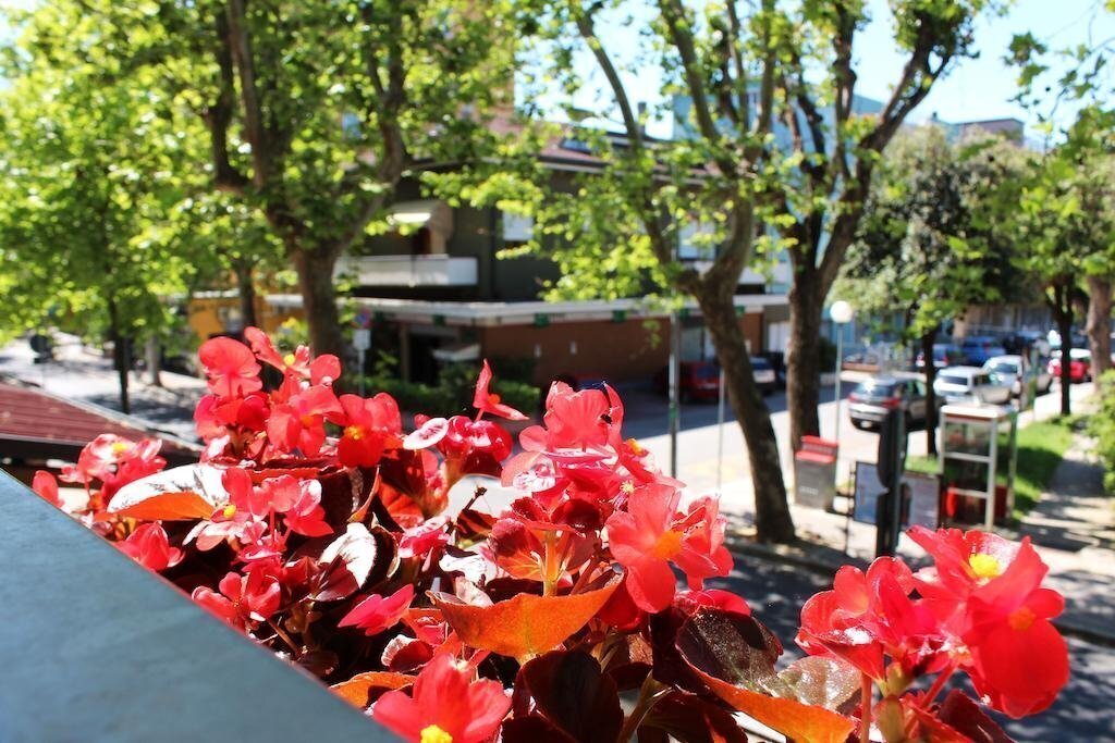 Hotel Leda 2* суреті