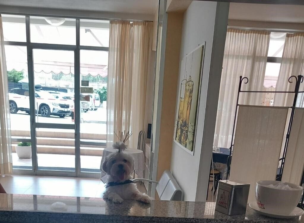 Staccoli (Bellariva) 3* суреті