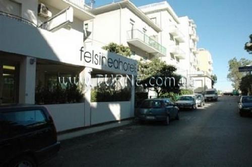 Отель Felsinea 3*