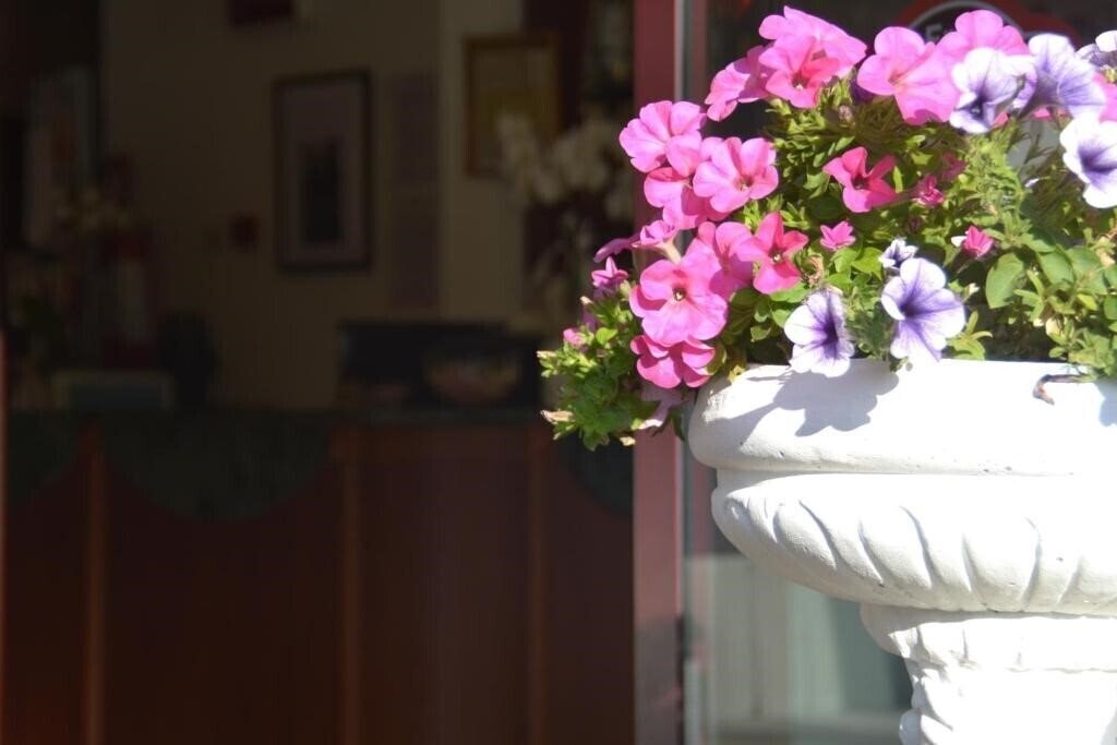 Фотография Bel Sogno 3*