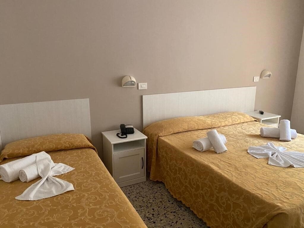 Отель Modenese 	Hotel 3*