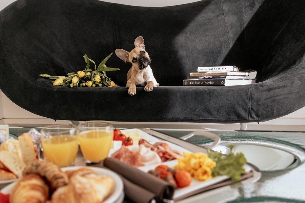 DuoMo 4* суреті