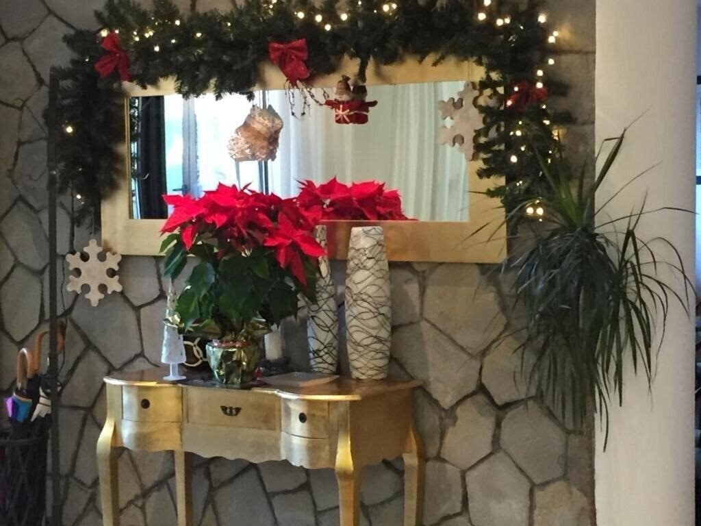 Изображение Primula 3*