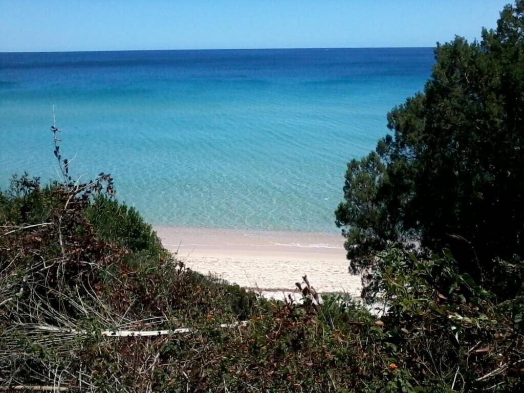 New Barcavela 4* фотосуреті