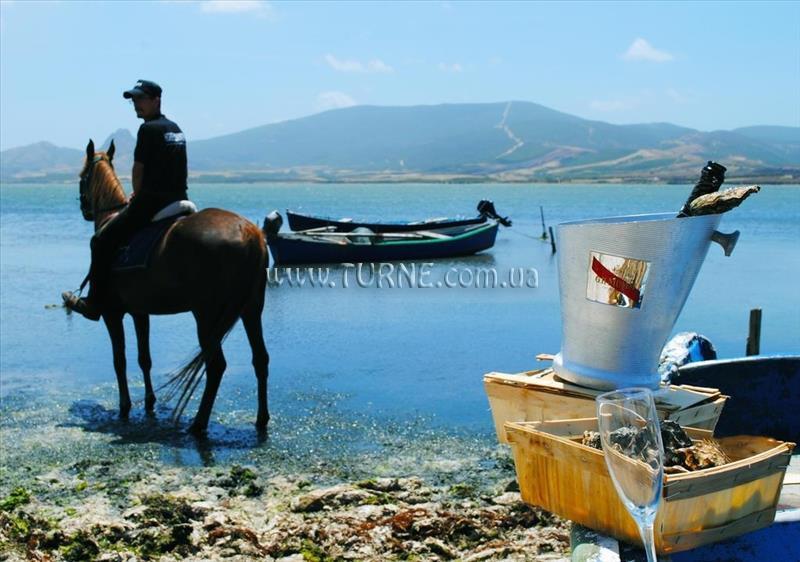 Horse Country Resort 4* қонақ үйі