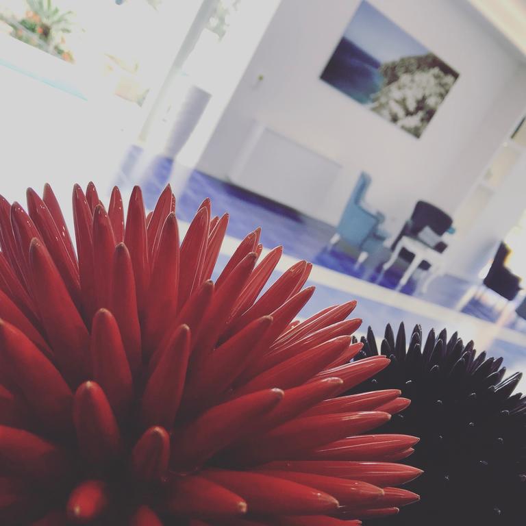 Metropole 3* қонақ үйі