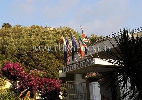 Delfino 4* суреті